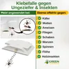 A marketing image showing a sticky trap for insects and pests, with a list of pests it is effective against. Produktbild-Vorschau