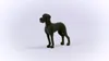 schleich 13962, 3 Jahr(e), Dogs, Farm animals / farm toys, Produktbild-Vorschau 7
