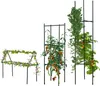 Outsunny Pflanzengitter 3er-Set, Pflanzenhalter für Produktbild-Vorschau 7
