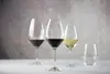 RIEDEL 6422/03-4 WINE FRIENDLY Set di 4 bicchieri per vino Anteprima dell’immagine prodotto 2