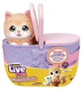 Moose Toys LITTLE LIVE PETS MAMA SURPRISE S7 KITTY PLAYSET Produktbild-Vorschau 5