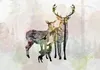 Vlies Fototapete - Forest Family 100x70 cm Tiere Produktbild-Vorschau 5
