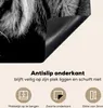 KitchenYeah© Herdabdeckplatte Tiger auf schwarzem Produktbild-Vorschau 4