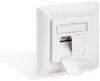Gniazdo sieciowe, podtynkowe, CAT 6, 2x RJ45 Podgląd zdjęcia produktu 16