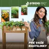 A woman is presenting a raised garden bed filled with plants, with promotional images of plants hanging in the background. Anteprima dell’immagine prodotto
