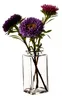BigDean 12x Blumenvase eckig 9x4 cm – kleine Vase für Produktbild-Vorschau 2
