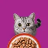 ‎Whiskas 4008429156540, Adult, Rind, Huhn, Lamm, Geflügel, Produktbild-Vorschau 8