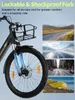 Runetic Ebike, City e-bikes & Dutch e-bikes, 250W Motor, Produktbild-Vorschau 8