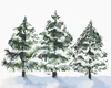 Zuty - Malen nach Zahlen - DREI NADELBÄUME UND SCHNEE Produktbild-Vorschau 1