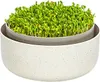 Plastia Urbalive Keimsprosskit für Microgreens, Elfenbein Produktbild-Vorschau 1