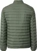 Casa Moda Steppjacke für Herren Produktbild-Vorschau 5