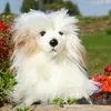 Cane crestato cinese di peluche - Cigno 30 cm ECO-FRIENDLY Anteprima dell’immagine prodotto 5