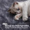 A kitten lying on a gray fuzzy surface with text overlay. Produktbild-Vorschau