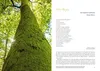 Der Moosgarten Náhľad obrázku produktu 4