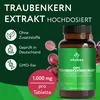 OPC Traubenkernextrakt 1000 mg – 120 vegane Tabletten – Produktbild-Vorschau 3