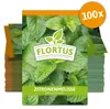Zitronenmelisse (100 Tütchen) | Melissensamen von FLORTUS Produktbild-Vorschau 1