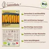 Samenliebe  Zucchini Samen | Gelbe Zucchini - samenfestes  Produktbild-Vorschau 3