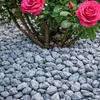 Blaugrau gemaserte Kieselsteine als Beetabdeckung unter einem Rosenstrauch mit pinken Blüten Produktbild-Vorschau