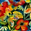 Adrianne Lenker - CD Canzoni e strumenti Anteprima dell’immagine prodotto 1