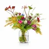 Vase, Glas, 16,5 cm, Transparent - Eva Solo | Acorn Produktbild-Vorschau 2