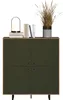 A dark green highboard with a wood-grain top, decorated with books, a lamp, and a vase with dried grass. Podgląd zdjęcia produktu