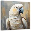 Leinwandbild Ölgemälde Papagei 60x60 Feeby Beige bild für Produktbild-Vorschau 1