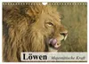 Löwen. Majestätische Kraft (Wandkalender 2027 DIN A4 quer), Produktbild-Vorschau 1