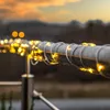 Guirlande lumineuse LED, modèle "Dew Drop Micro", pour Voir les images du produit 4