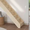 Holztreppe Intercon Casablanca | Fichte | gerader Verlauf | Produktbild-Vorschau 6
