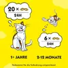 Dreamies Katzensnacks Katzenleckerlis Catnip mit Produktbild-Vorschau 6