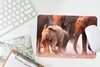 MuchoWow® Mauspad Mousepad Elefant - Tiere - Stoff 27x18 cm Produktbild-Vorschau 4