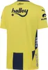 Fenerbahçe Puma A Team 2024/2025 Çubuklu Home Jersey L Produktbild-Vorschau 2