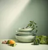 ASA Selection saisons agave Pastateller, Speiseteller, Anteprima dell’immagine prodotto 8