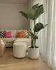 Květináč na Zahradu Terasu Balkon do Domu Mazovia Náhled obrázku produktu 9