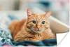 MuchoWow® Poster Katze - Kleidung - Schrank 120x80 cm - Produktbild-Vorschau 1