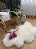 Sheepmania Lambskin Genuine Unsheared Large - Hustá Náhled obrázku produktu 3