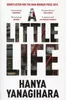 A Little Life Anteprima dell’immagine prodotto 2