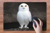 MuchoWow® Schreibtischunterlage Schneeeule 60x40 cm - XXL Produktbild-Vorschau 3