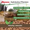 Blusana Blähton 50 Liter grobe Körnung 8-16mm Produktbild-Vorschau 5