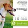 Saint Nutrition® Flohnix Liquid - Läuse & Flöhe – für Hunde Produktbild-Vorschau 4