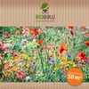 Biobalu Bienenweide - Blumenwiese Samen mehrjährig & Produktbild-Vorschau 6