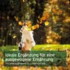 AniForte Barf Naturkräuter Mix für Hunde 250 g - Produktbild-Vorschau 5