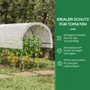 Outsunny Tomatengewächshaus, Winddichtes Foliengewächshaus Produktbild-Vorschau 4