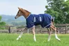 Bucas Foal Turnout 50g Navy Silver/navy, Größe:Foal Produktbild-Vorschau 6