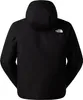 Jacken The North Face Quest Mono NF0A8G0TJK3TNFBLACK Produktbild-Vorschau 7