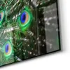 DEQORI Glasbild Echtglas 100x50 cm 'Schönheit des Produktbild-Vorschau 5