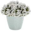 Splofy Blumentopf Produktbild-Vorschau 6