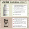 ProFuel Creatine Monohydrate (300 Kapseln) Produktbild-Vorschau 4