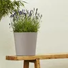 Poétic 022055 G.CA SX6 květináč Poétic ELEMENT, kuželovitý, Náhled obrázku produktu 2