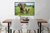 MuchoWow® MuchoWow® Gerahmtes Poster Elefant - Natur - Park Produktbild-Vorschau 2